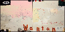 wanton